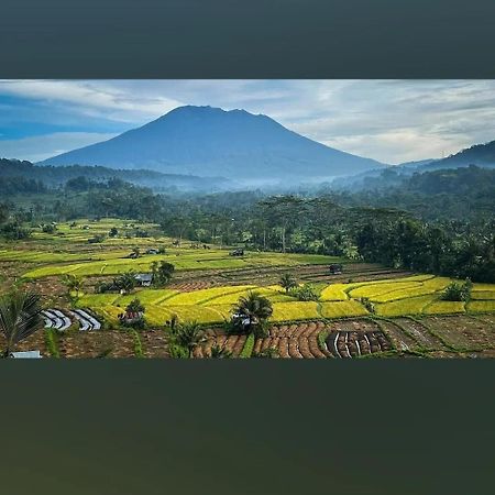 Lumbung Ayu Sari And Spa Sidemen  Buitenkant foto