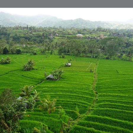 Lumbung Ayu Sari And Spa Sidemen  Buitenkant foto