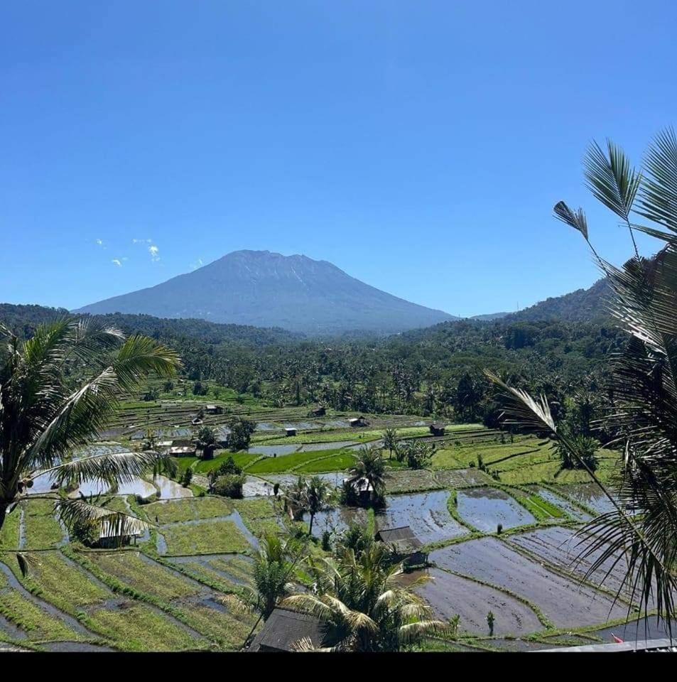 Lumbung Ayu Sari And Spa Sidemen  Buitenkant foto