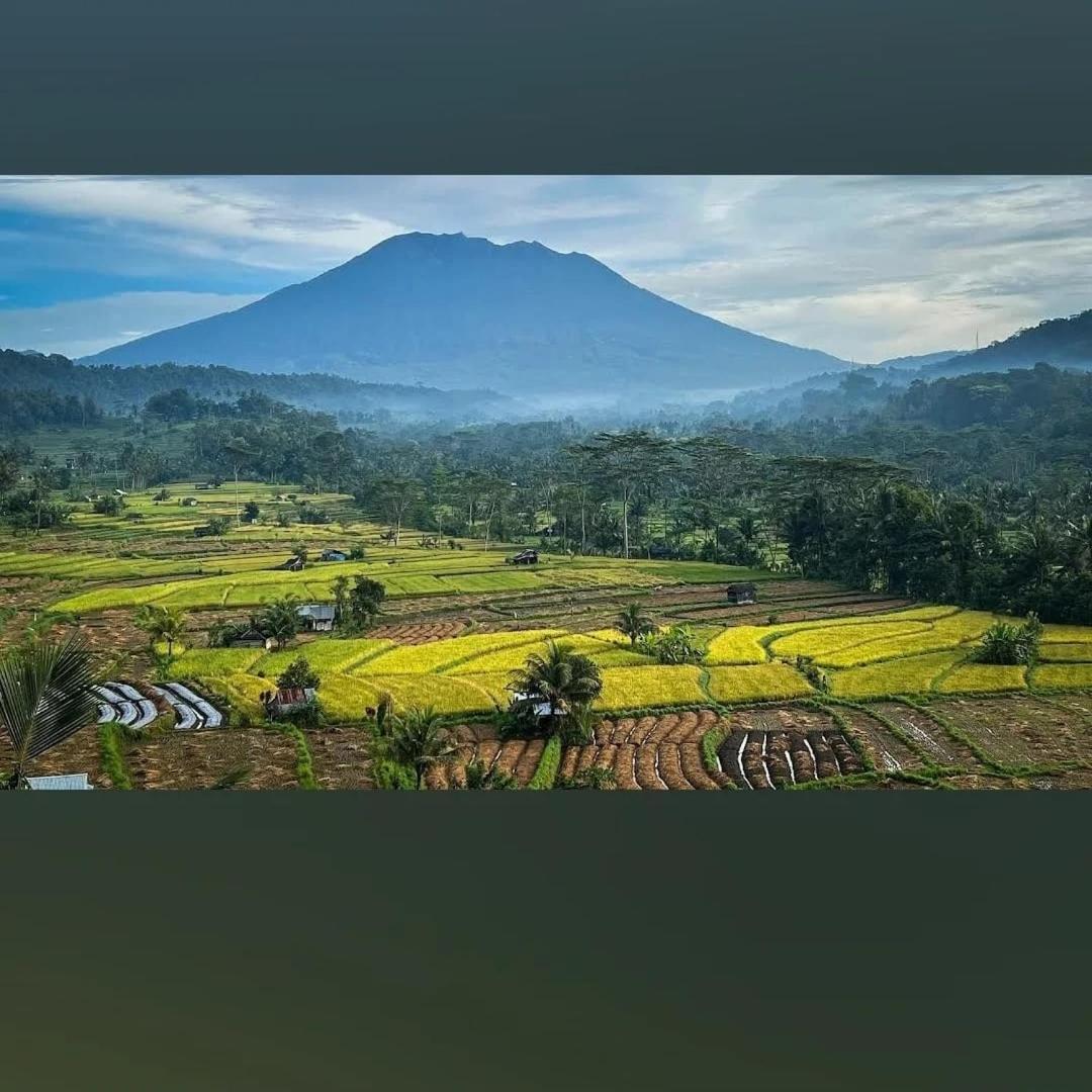 Lumbung Ayu Sari And Spa Sidemen  Buitenkant foto
