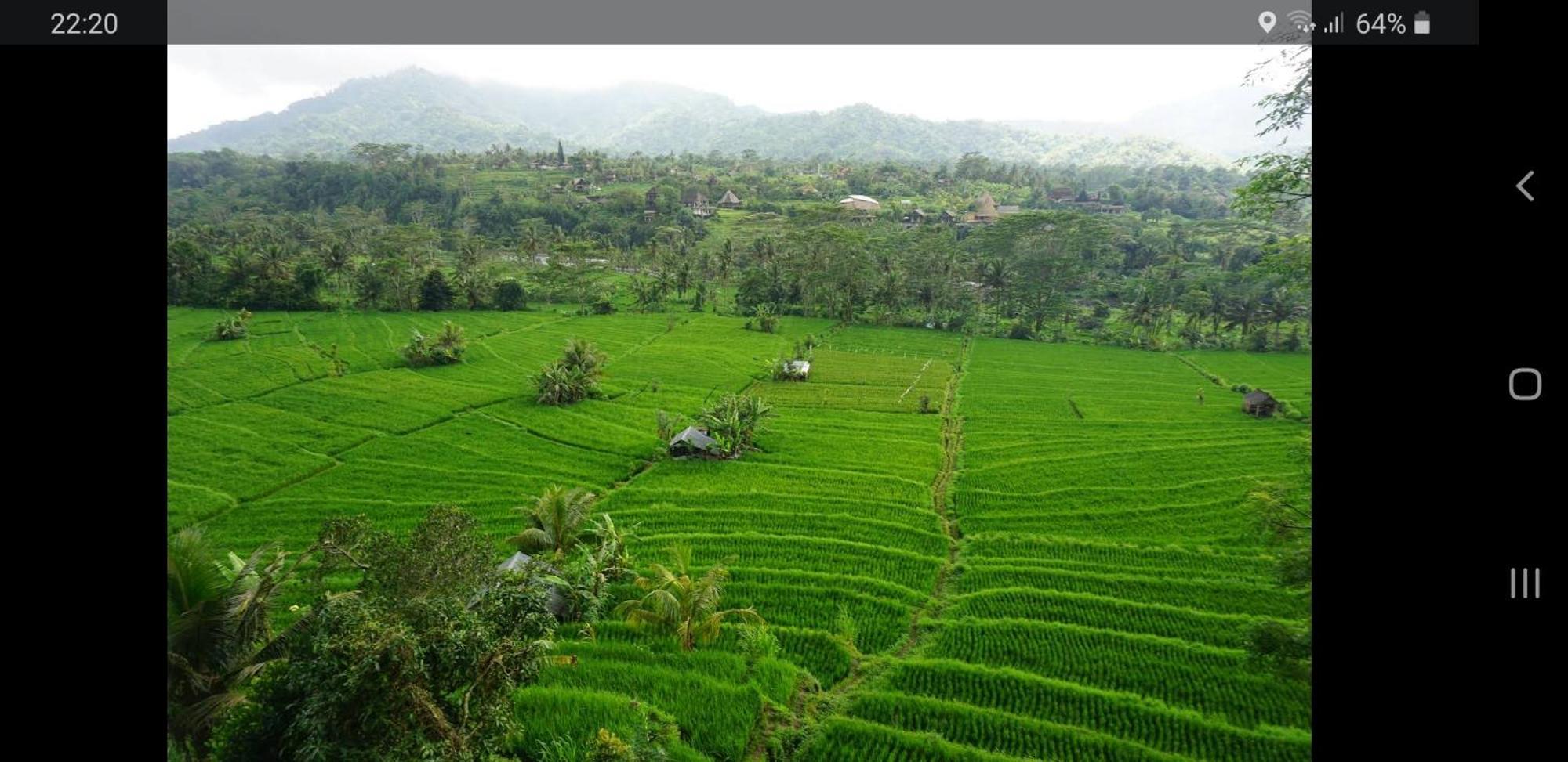 Lumbung Ayu Sari And Spa Sidemen  Buitenkant foto