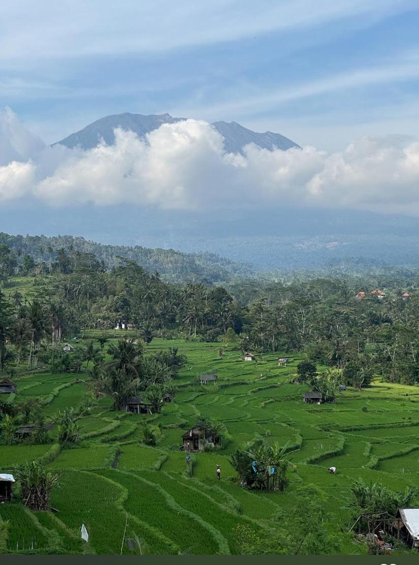 Lumbung Ayu Sari And Spa Sidemen  Buitenkant foto