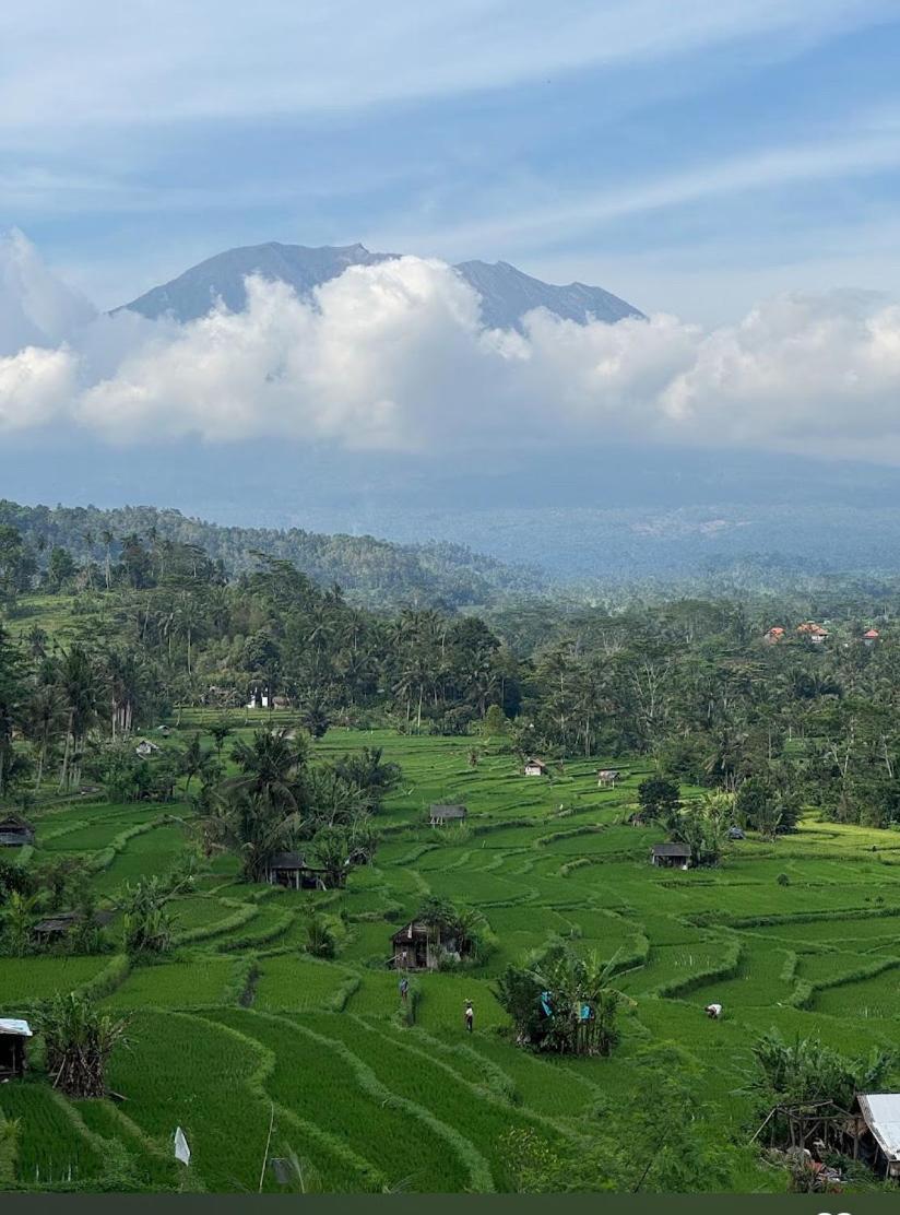 Lumbung Ayu Sari And Spa Sidemen  Buitenkant foto